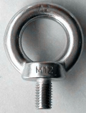 DIN580 M12 SS.jpg